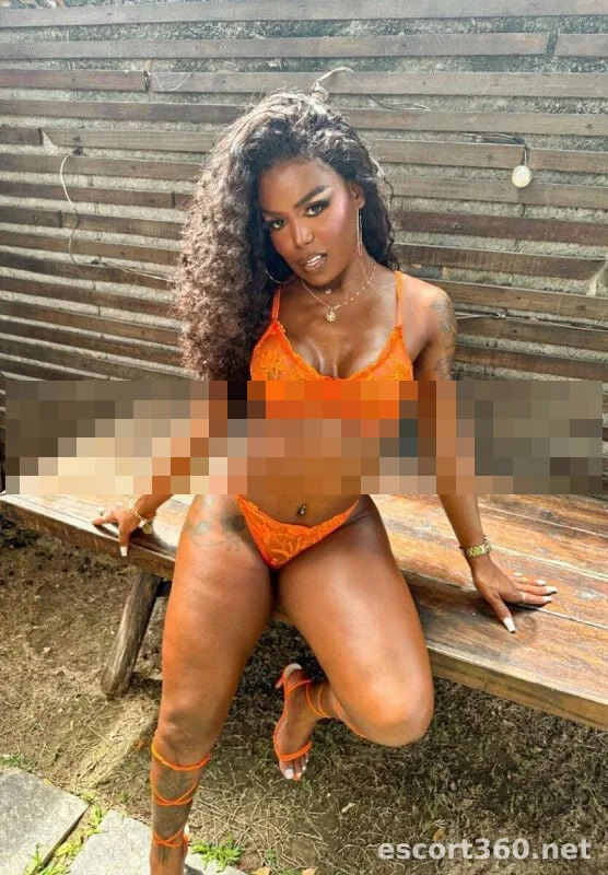 1 de 1