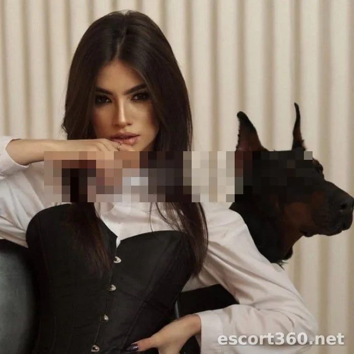 1 de 1