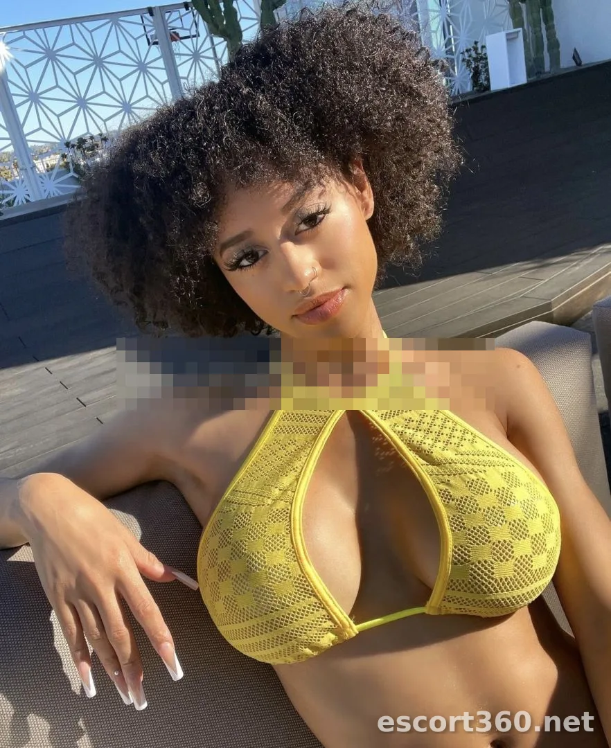 1 de 1