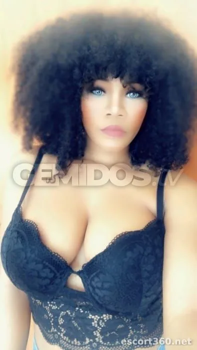 1 de 1