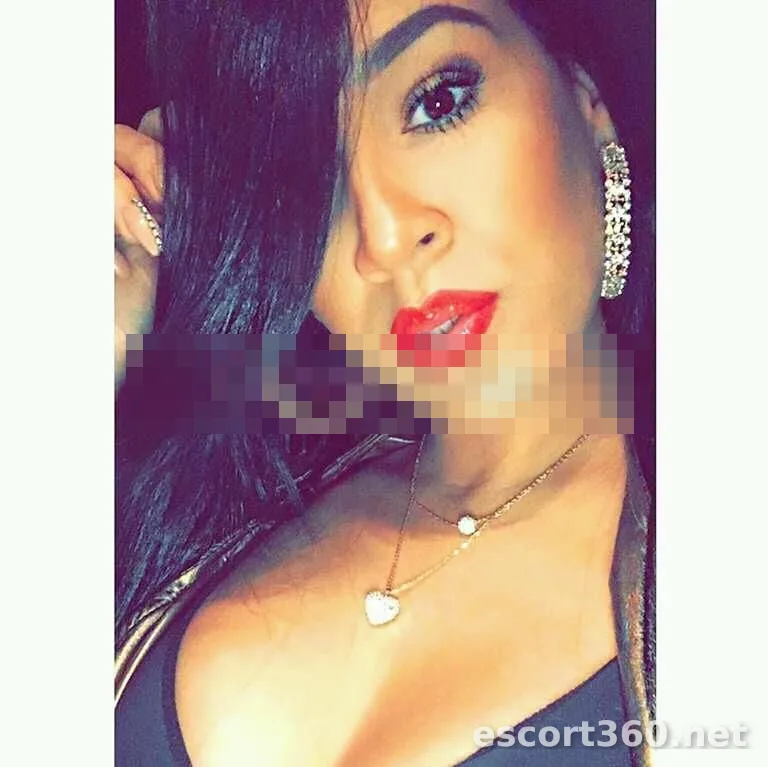 1 von 1