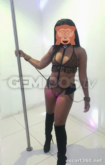 1 de 1