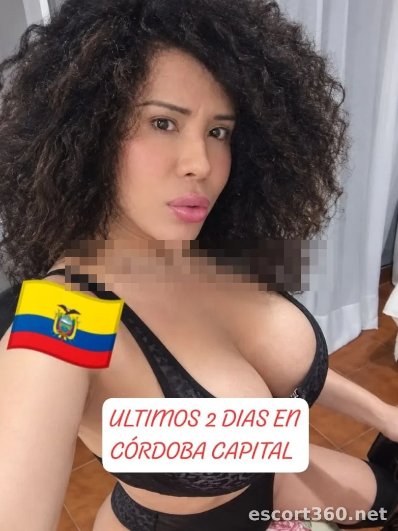1 de 1
