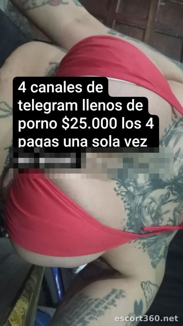 1 de 1