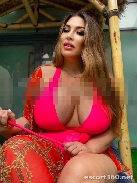 1 de 1