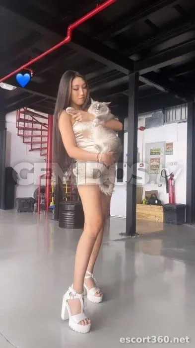 1 de 1