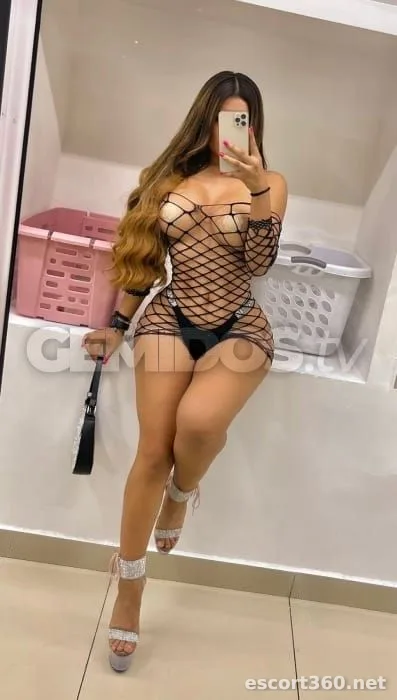 1 von 1