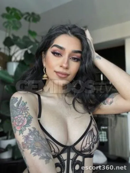 1 von 1