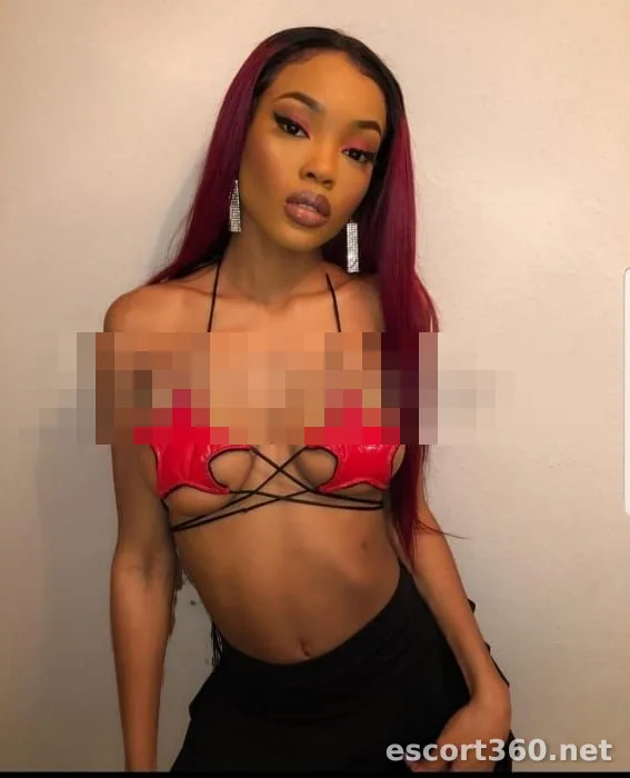 1 of 1