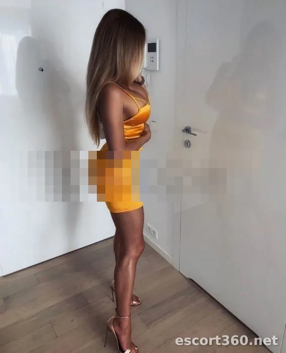 1 de 1