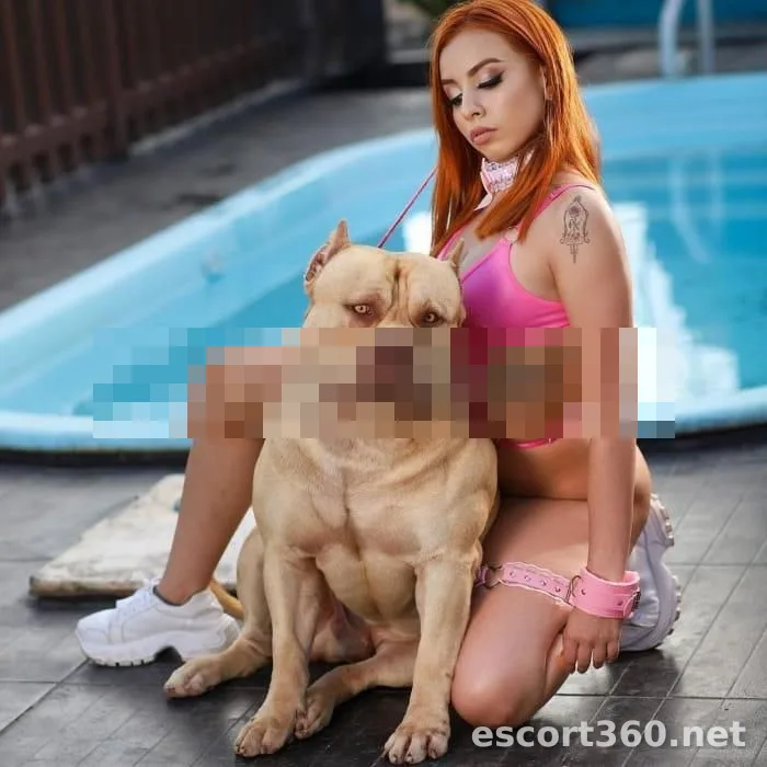 1 de 1