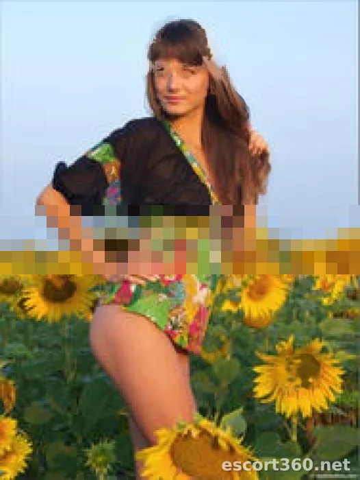 1 de 1