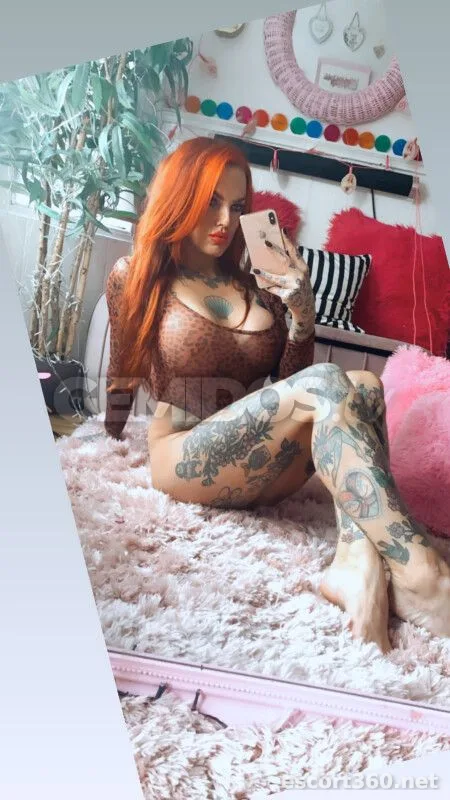 1 von 1