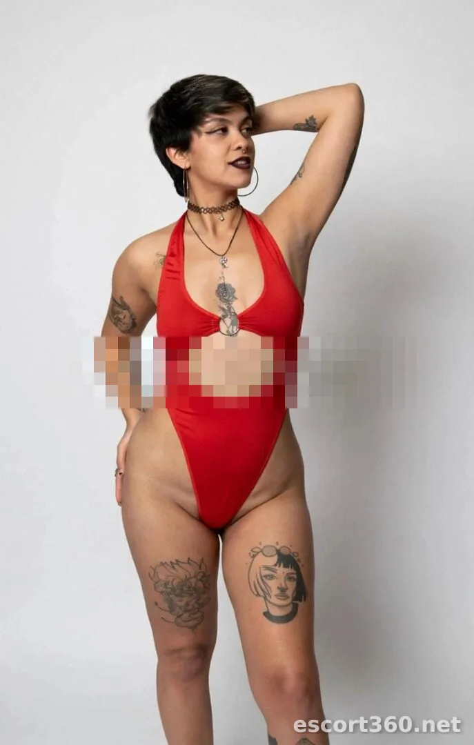 1 de 1