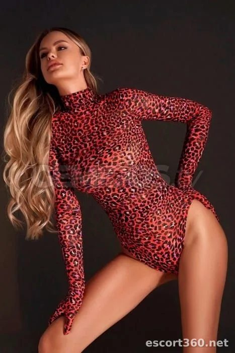 1 de 1