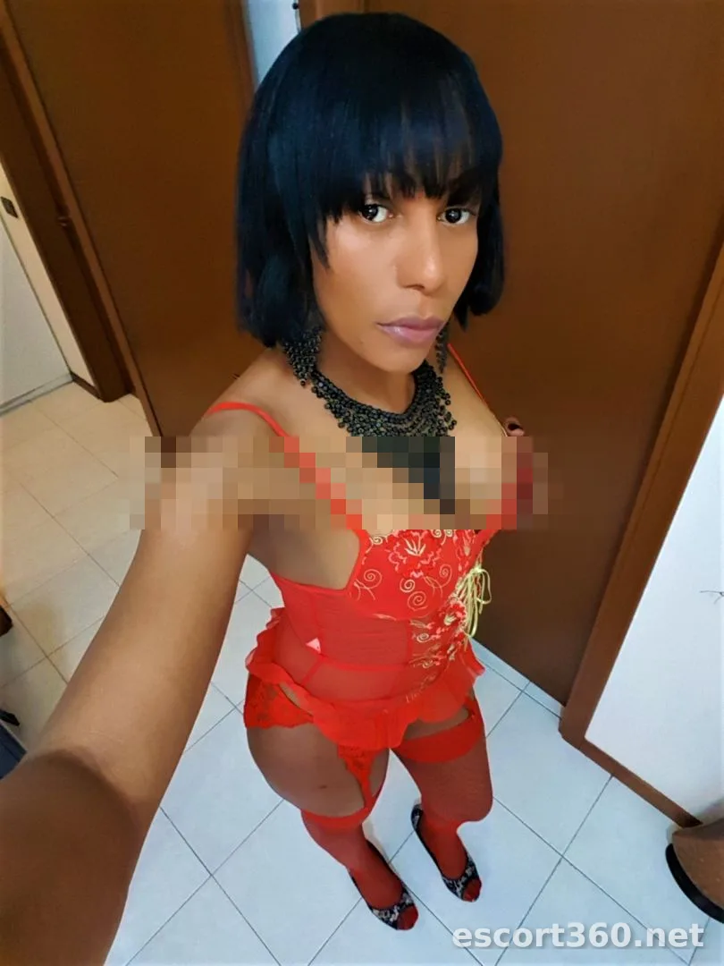 1 de 1