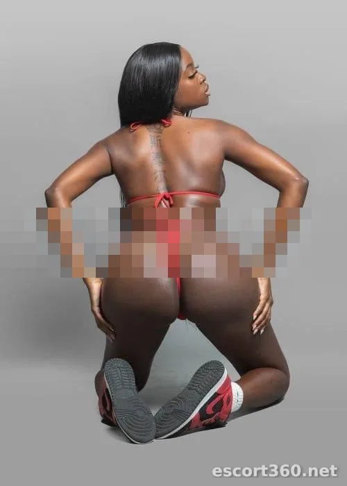 1 de 1