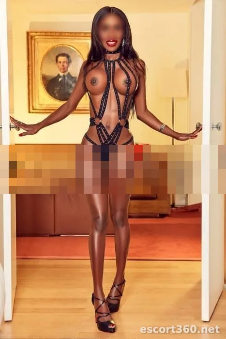 1 de 1