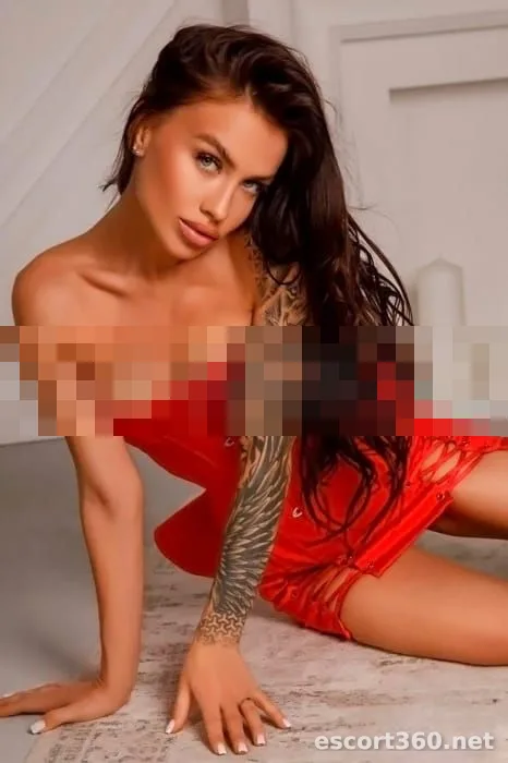 1 de 1