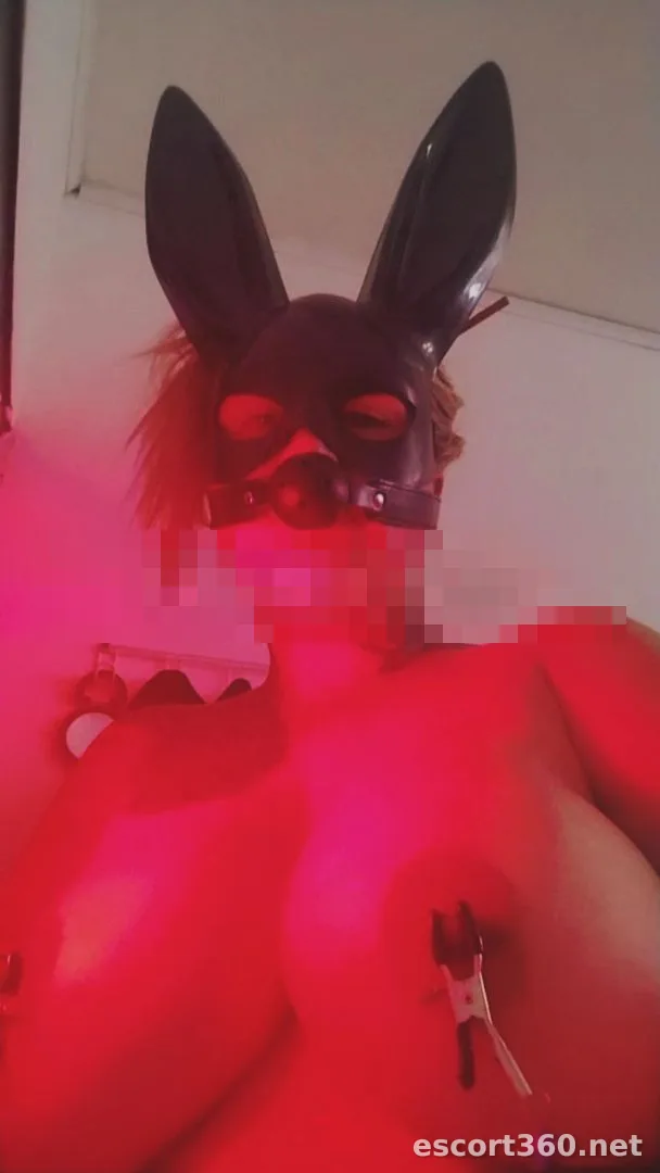 1 de 1