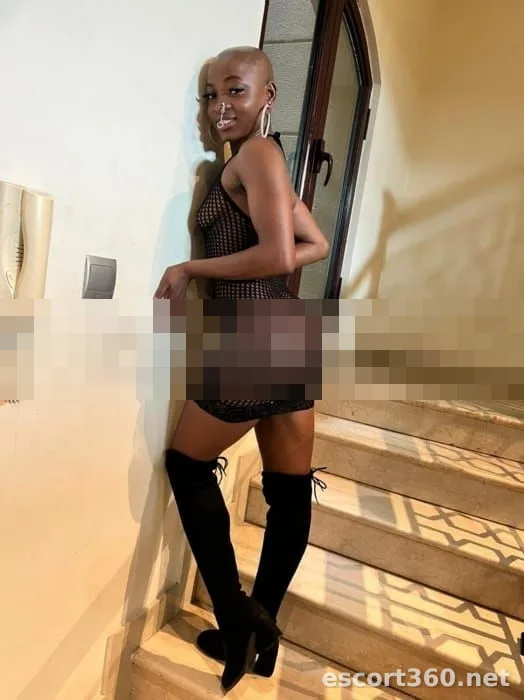 1 of 1