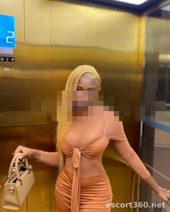 1 de 1