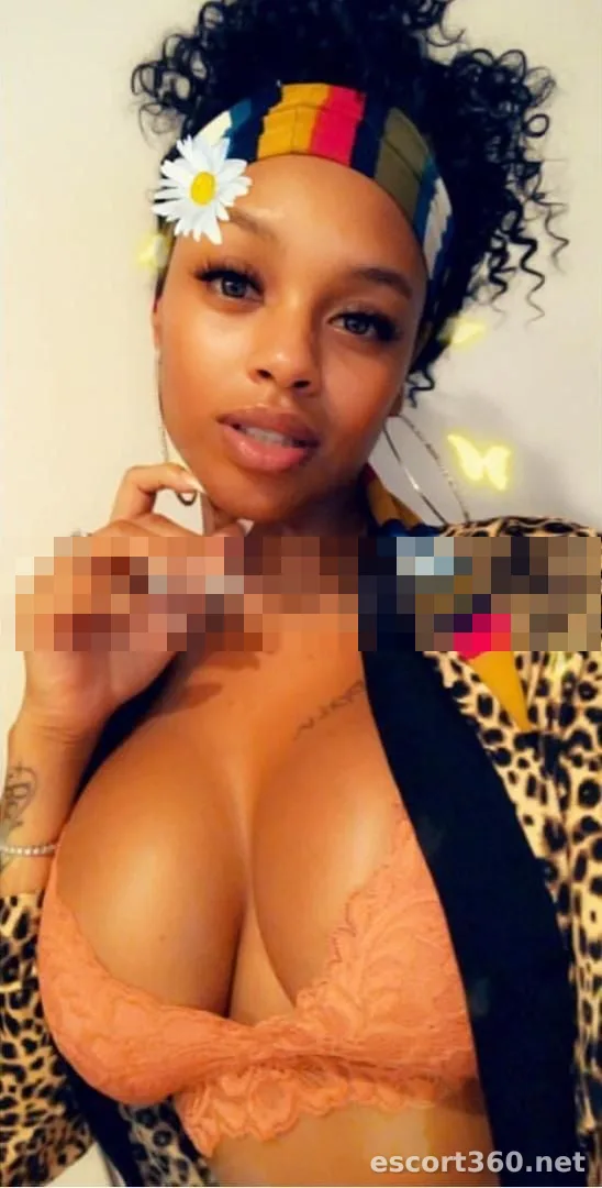 1 of 1