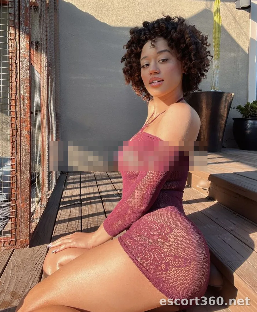 1 de 1