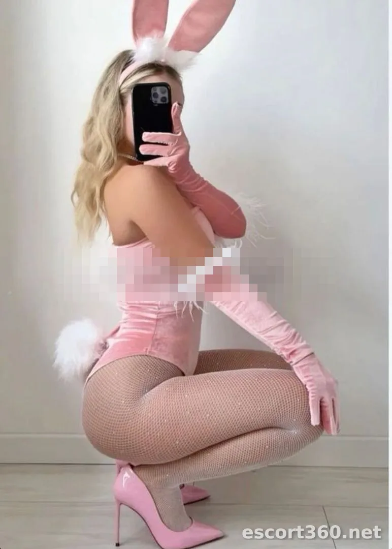 1 de 1