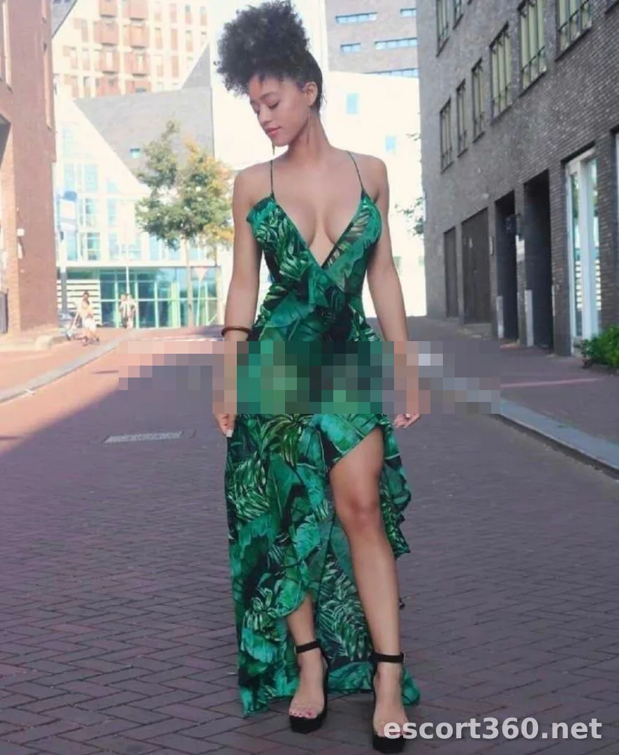 1 de 1