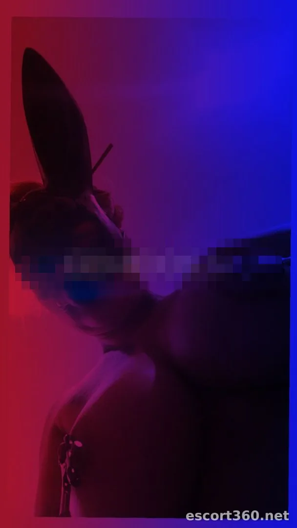 1 de 1