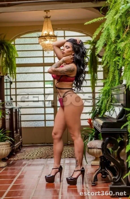 1 de 1