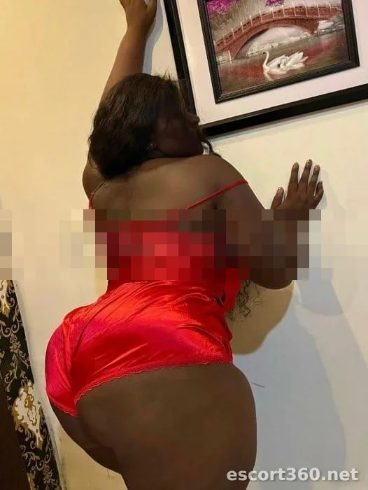 1 de 1