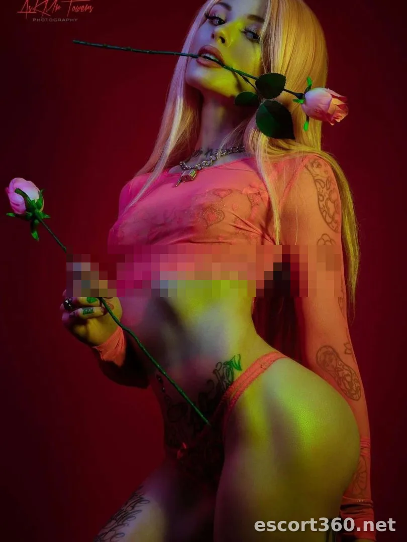 1 of 1