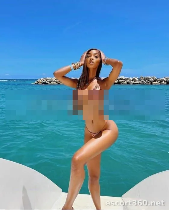 1 de 1