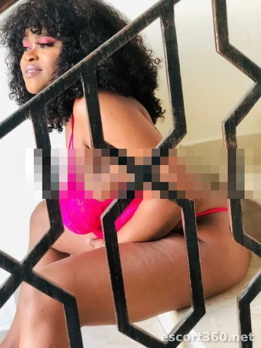 1 de 1