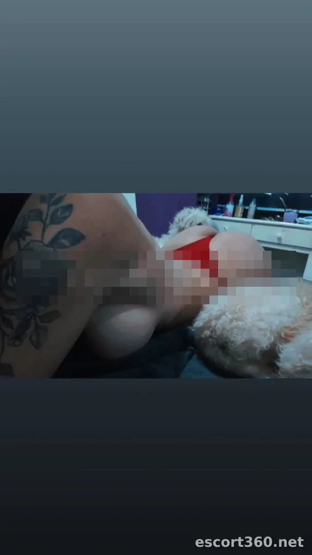 1 de 1