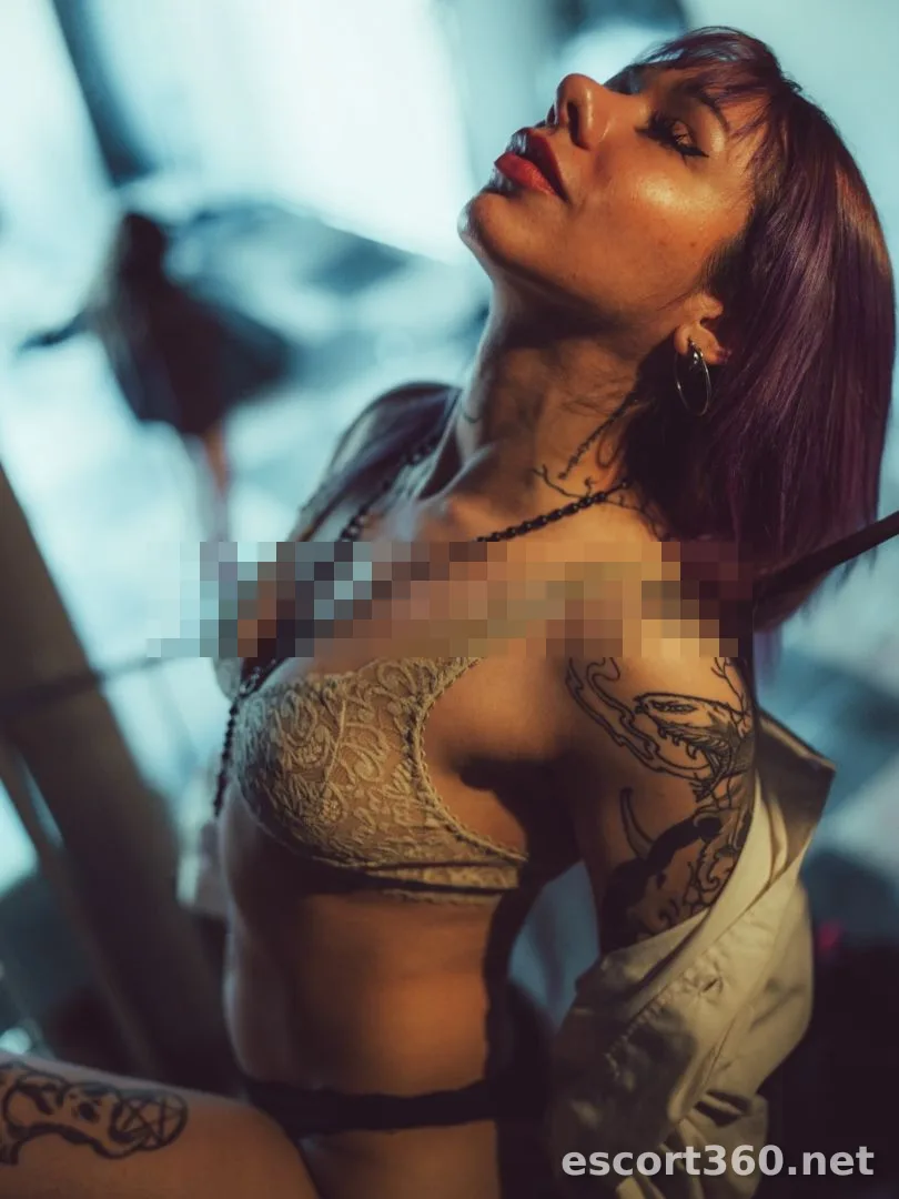 1 de 1
