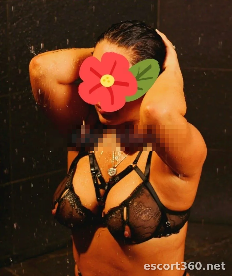 1 of 1