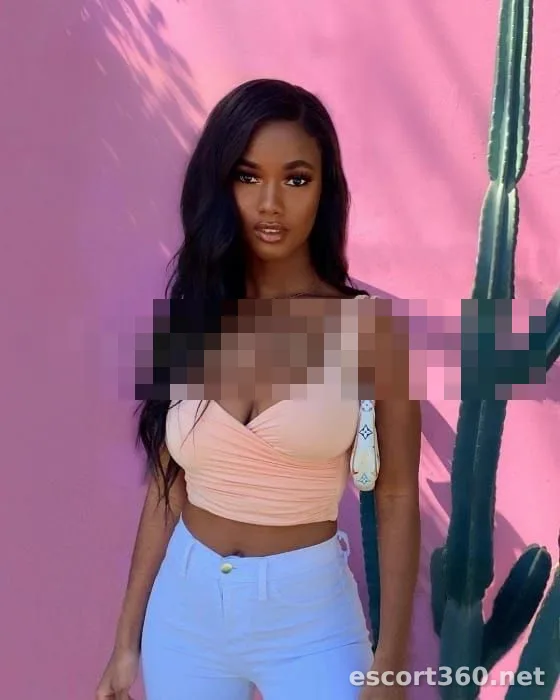 1 de 1