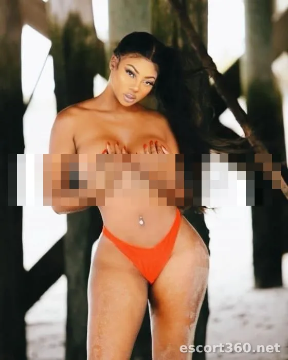 1 de 1