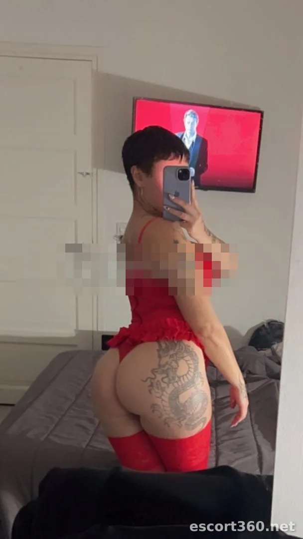 1 de 1