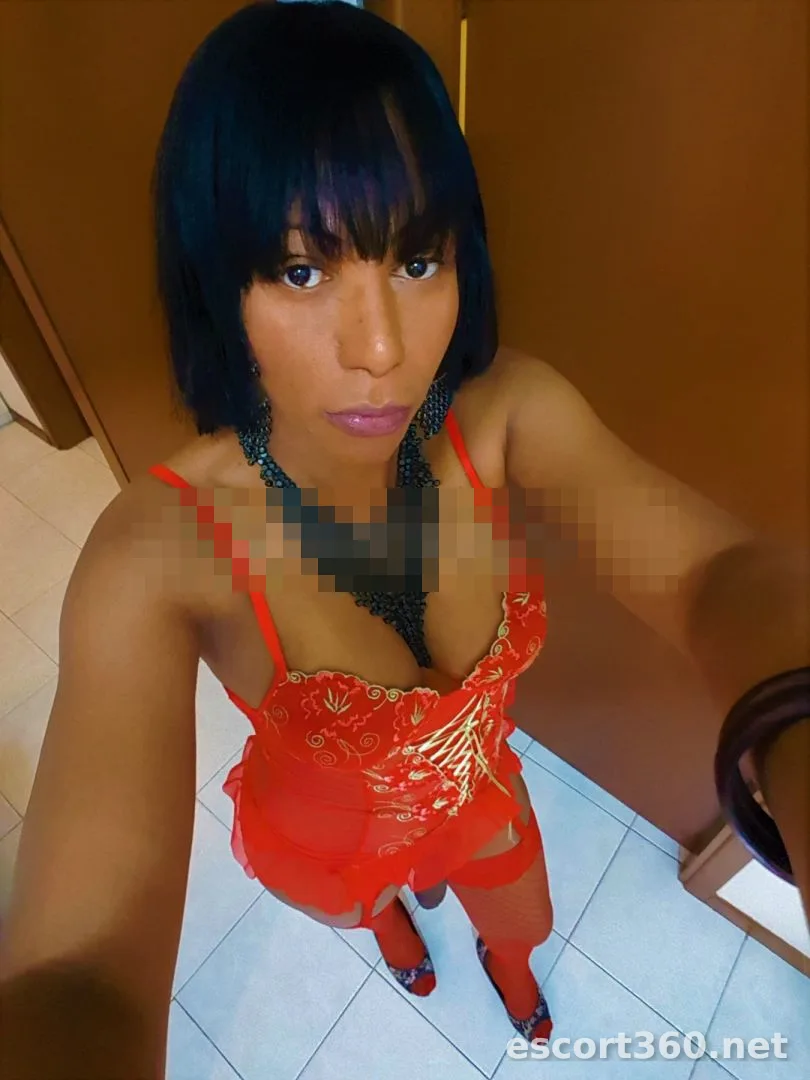 1 de 1
