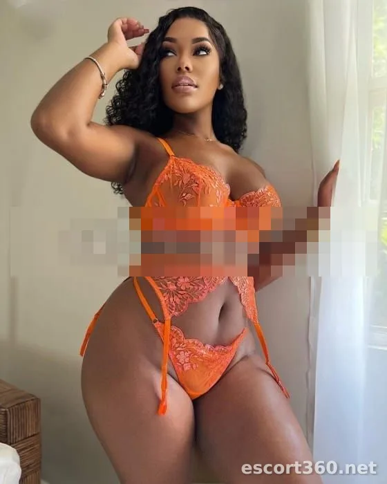 1 de 1