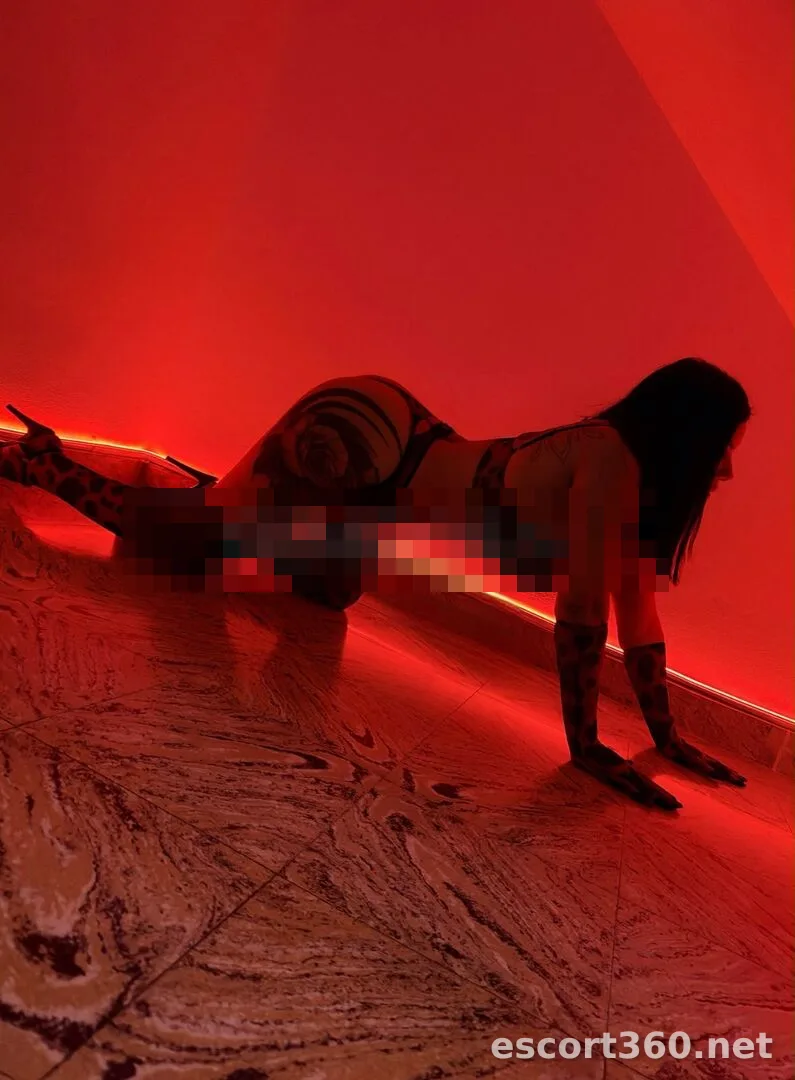 1 of 1