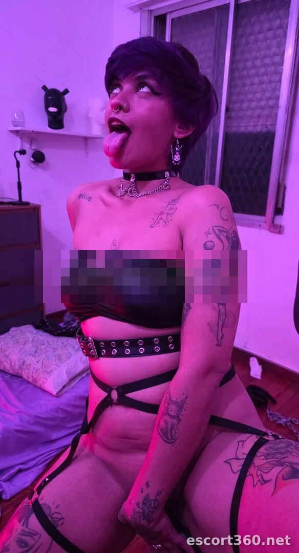 1 de 1
