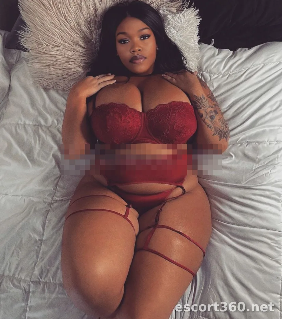 1 de 1
