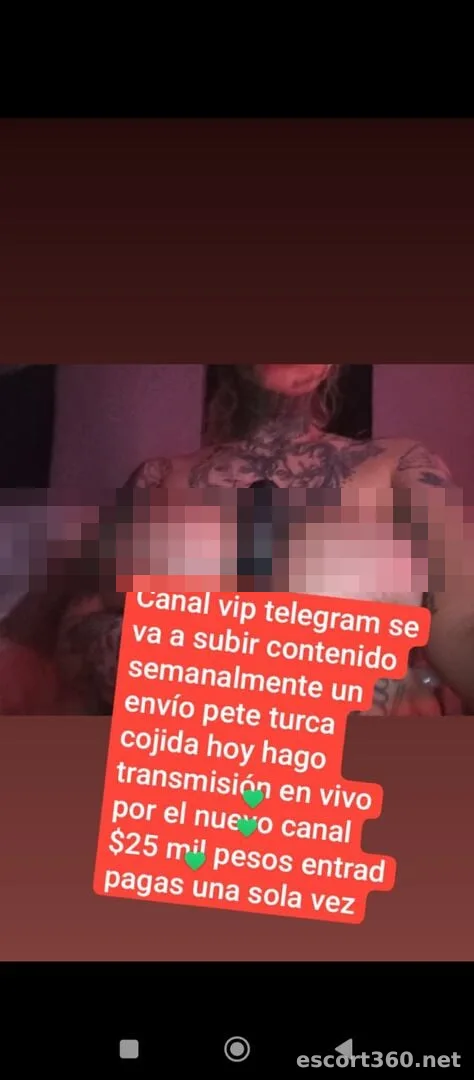 1 de 1