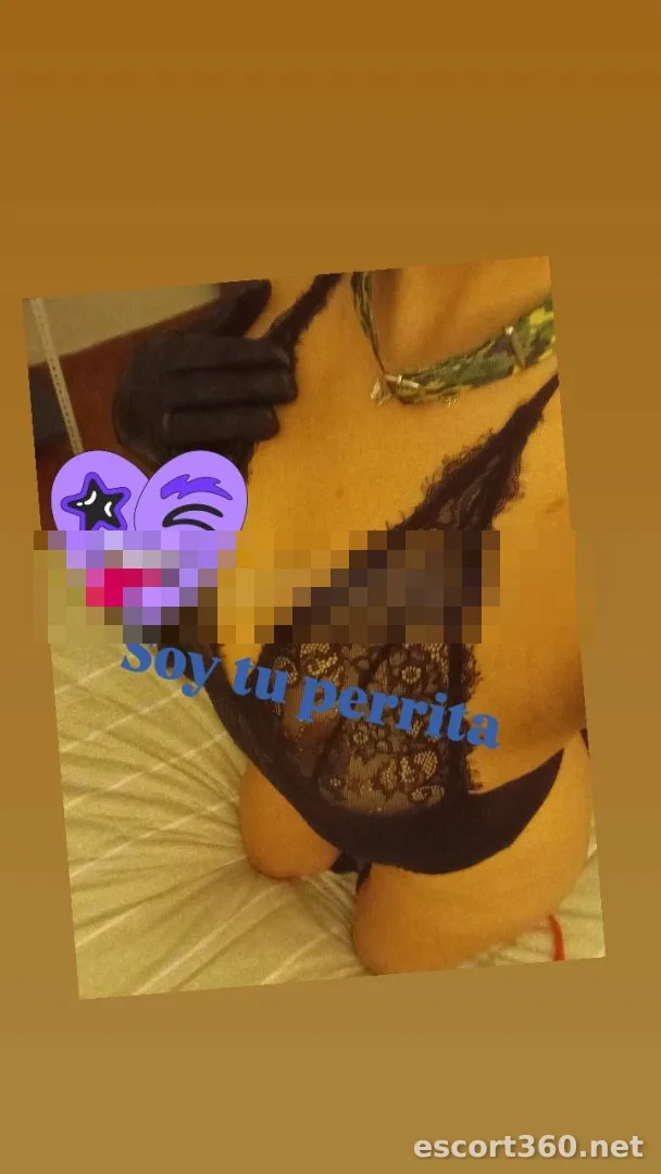 1 de 1