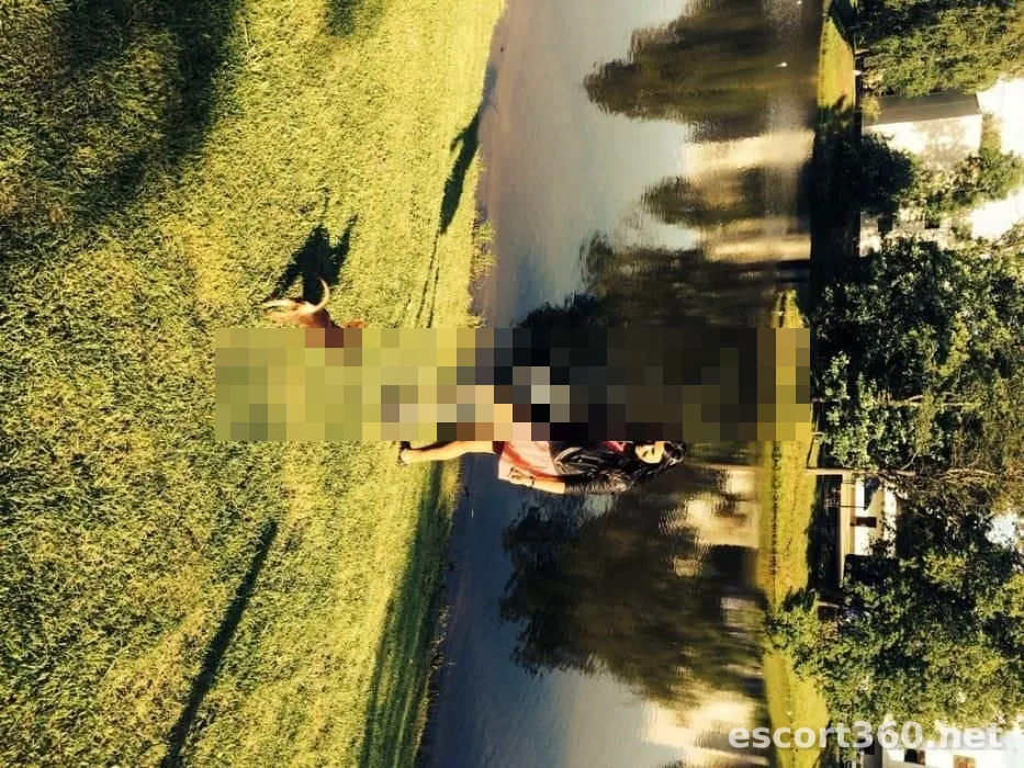 1 of 1